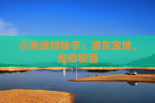 小米维修秘辛：浦东宝地，维修极品