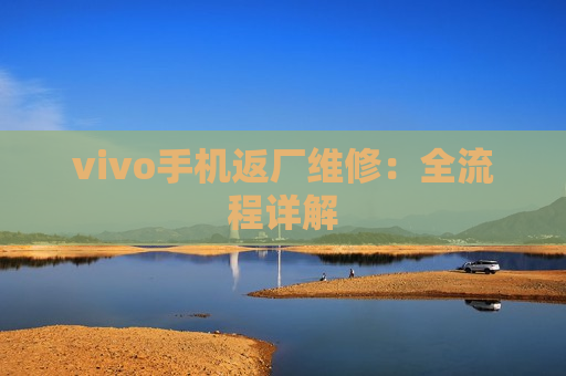 vivo手机返厂维修：全流程详解