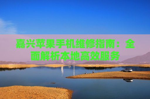 嘉兴苹果手机维修指南：全面解析本地高效服务